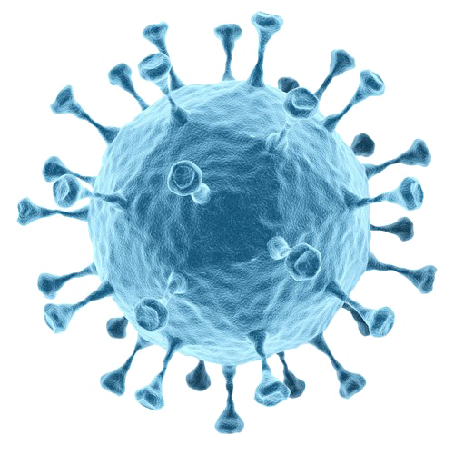 COVID-19 ICON